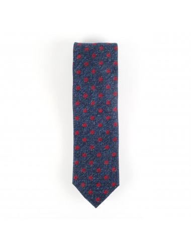 Navy and Red Polka Dot...