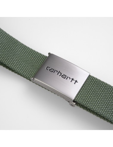 Clip Belt Chrome Dollar Green